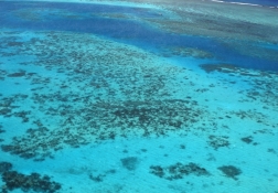 グアムの珊瑚礁 